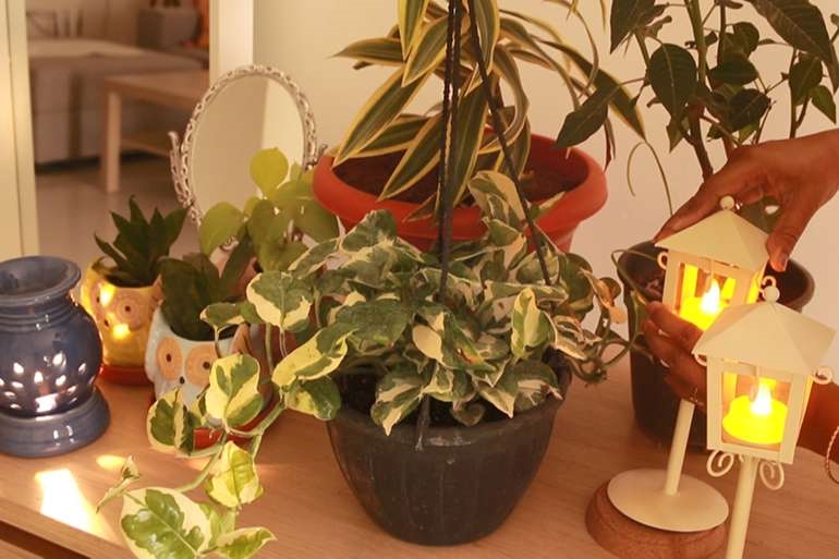 Master the Art of Entertaining Yourself