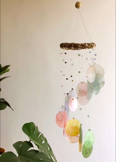 HomelyMess Seven Chakra Rainbow Caipz Shell Windchime