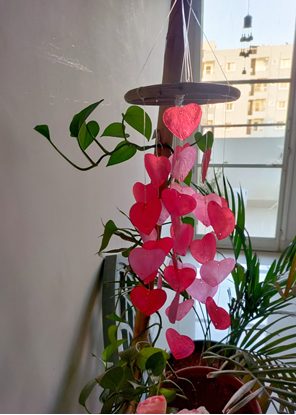 Homelymess All Hearts Seashell windchime